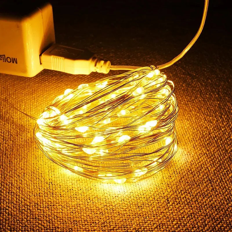 USB LED Fairy String Lights 5M – Waterproof Silver Wire Garland Light for Christmas, Wedding & Holiday Decor (CE & RoHS Certified)