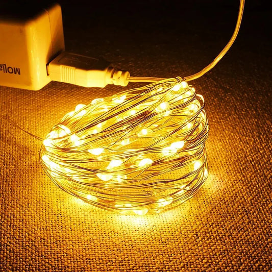 USB LED Fairy String Lights 5M – Waterproof Silver Wire Garland Light for Christmas, Wedding & Holiday Decor (CE & RoHS Certified)
