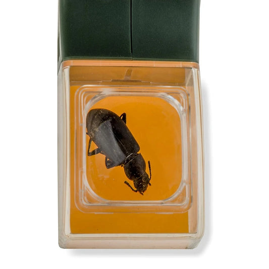 Upgraded Handheld Insect Catcher Tool – Bug Clamp with 5× Magnifying Glass for Bees, Spiders, Cockroaches & Safe Bug Release